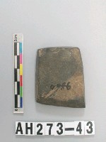 藏品(有段石錛)的圖片